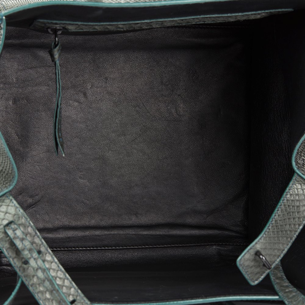 Céline Evergreen Python Leather Medium Phantom Luggage Tote