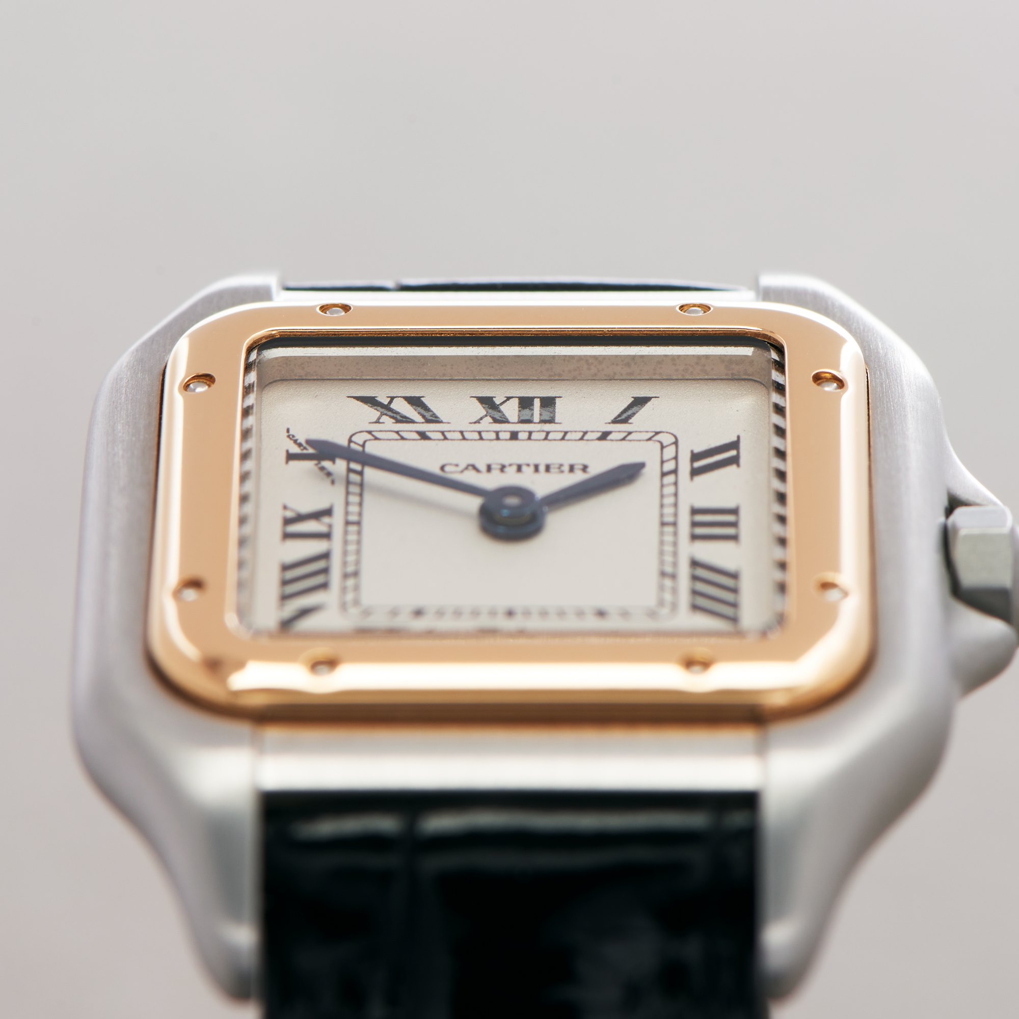 Cartier Panthère 18K Yellow Gold & Stainless Steel W250295D or 1120