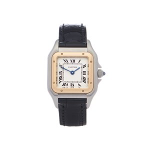 Cartier Panthère 18K Yellow Gold & Stainless Steel - W250295D or 1120