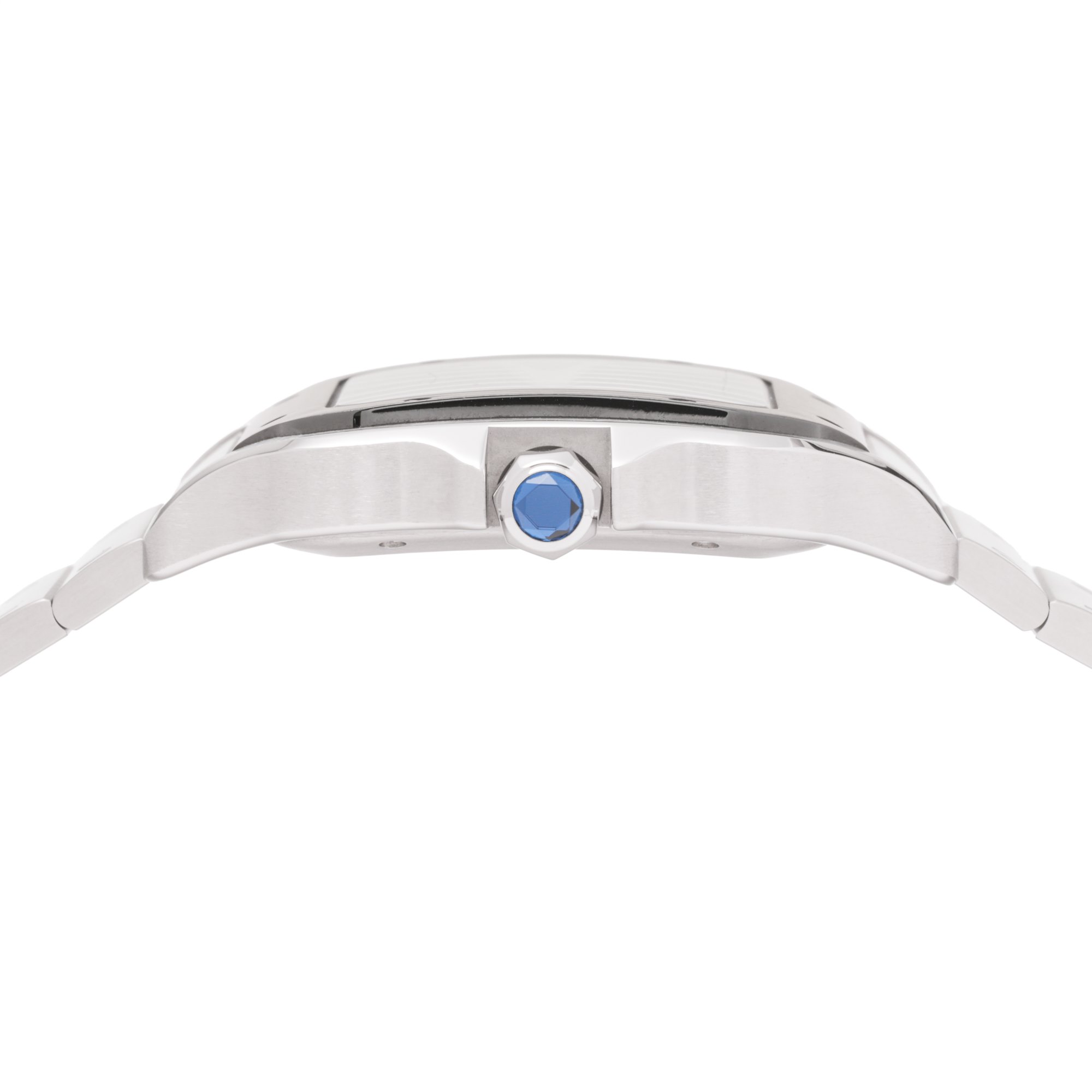 Cartier Santos Large Roestvrij Staal WSSA0037 or 4072
