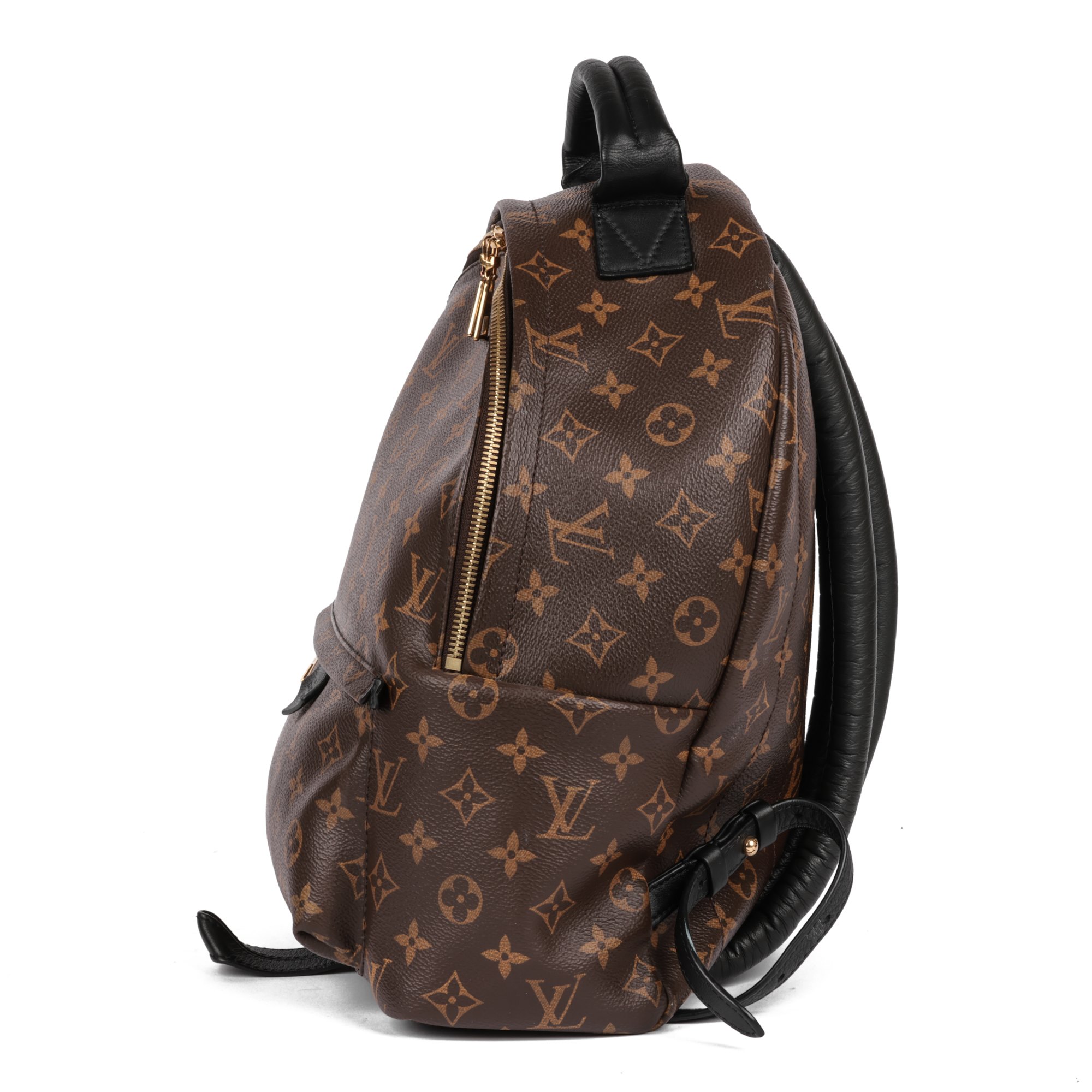 Louis Vuitton Brown Monogram Coated Canvas & Black Calfskin Leather Palm Springs Backpack MM