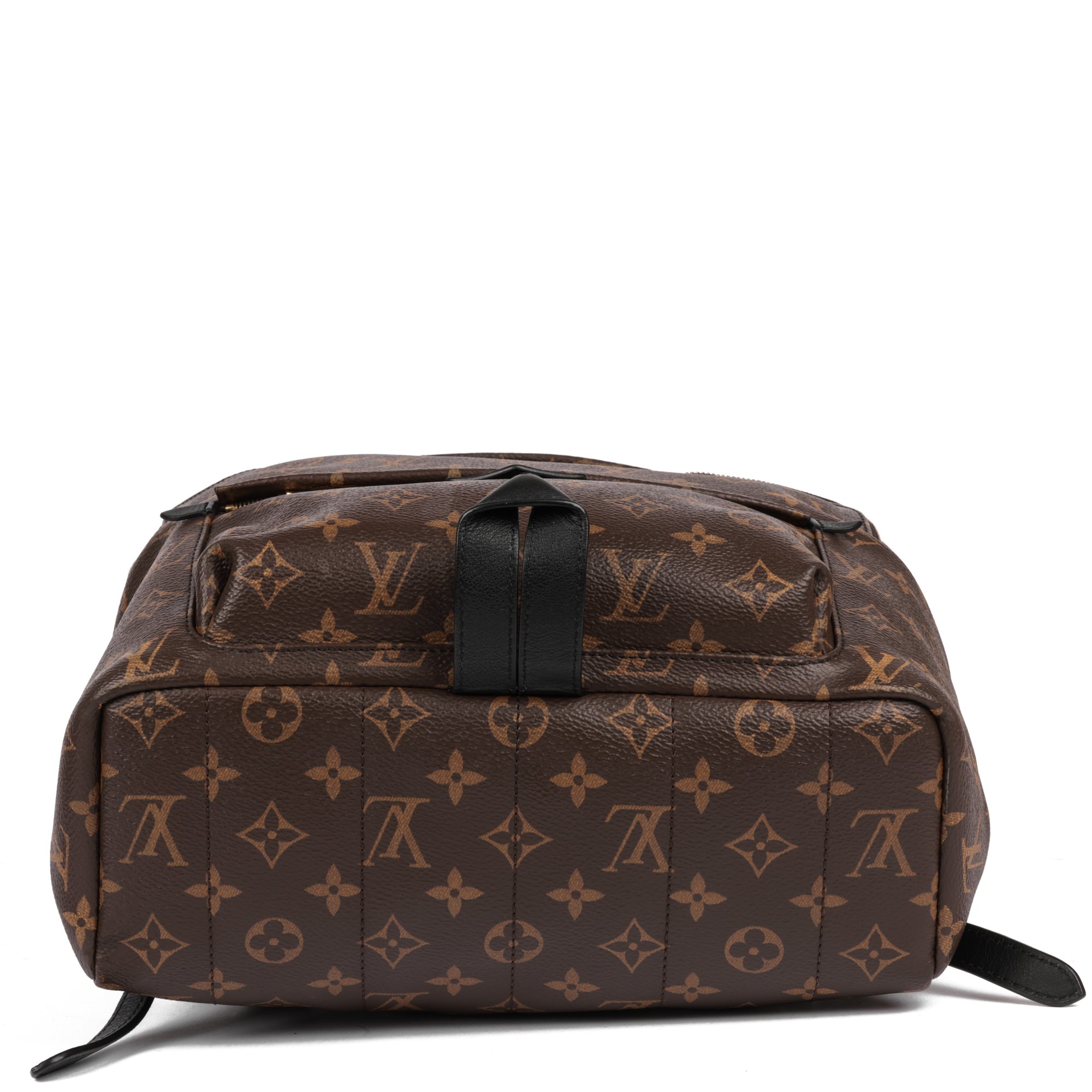 Louis Vuitton Brown Monogram Coated Canvas & Black Calfskin Leather Palm Springs Backpack MM