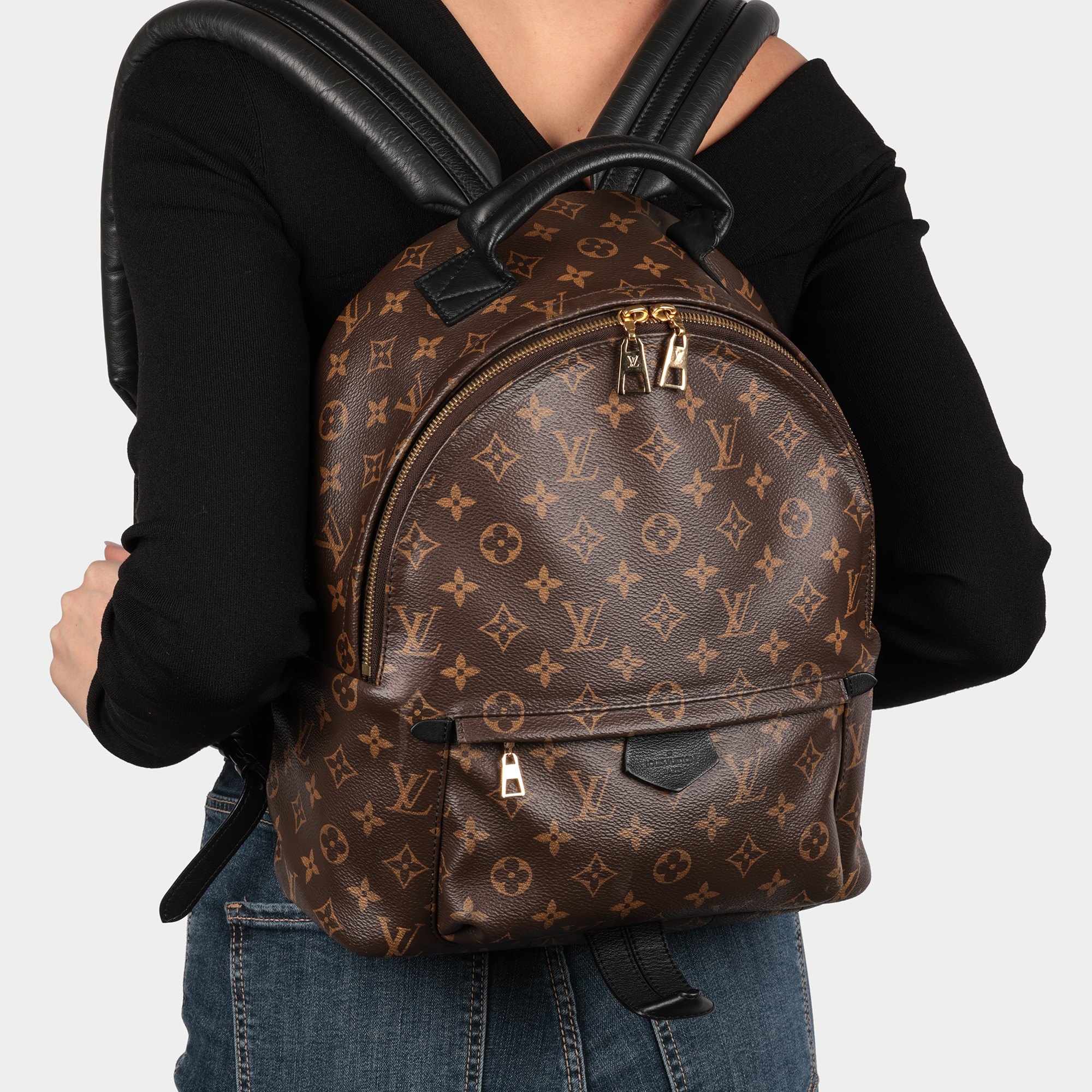 Louis Vuitton Brown Monogram Coated Canvas & Black Calfskin Leather Palm Springs Backpack MM